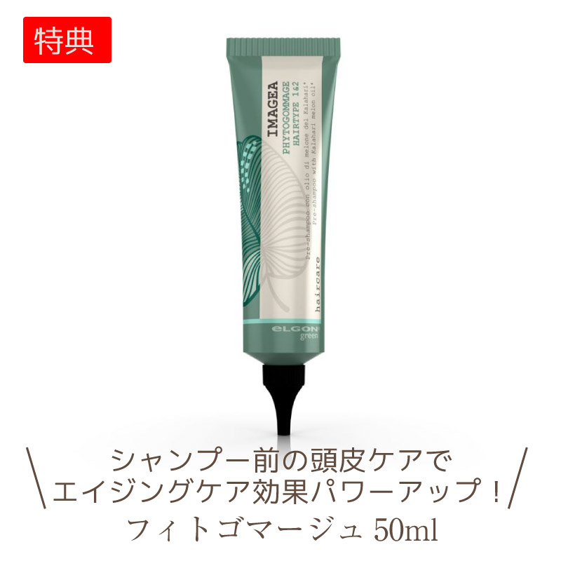 chugen2021_phyto-800.jpg