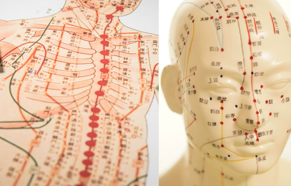 東洋医学の経絡とツボの人体模型