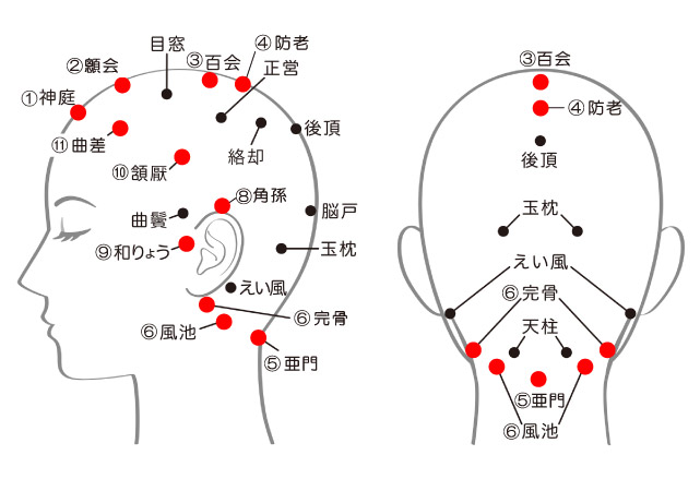 頭部のツボ