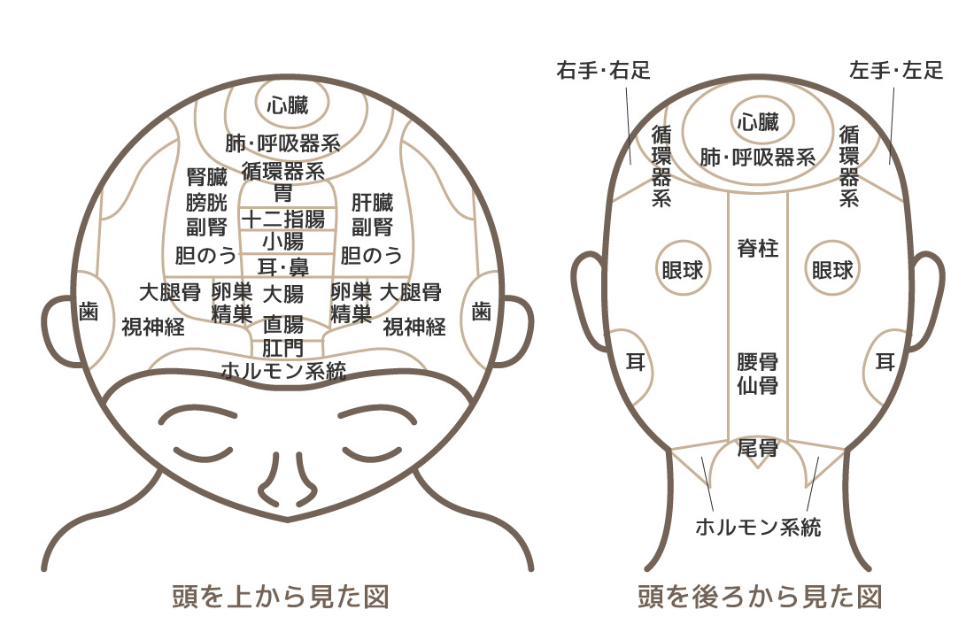 同じところばかり白髪が生える それは体の不調のサインかも エルゴン公式ショップ