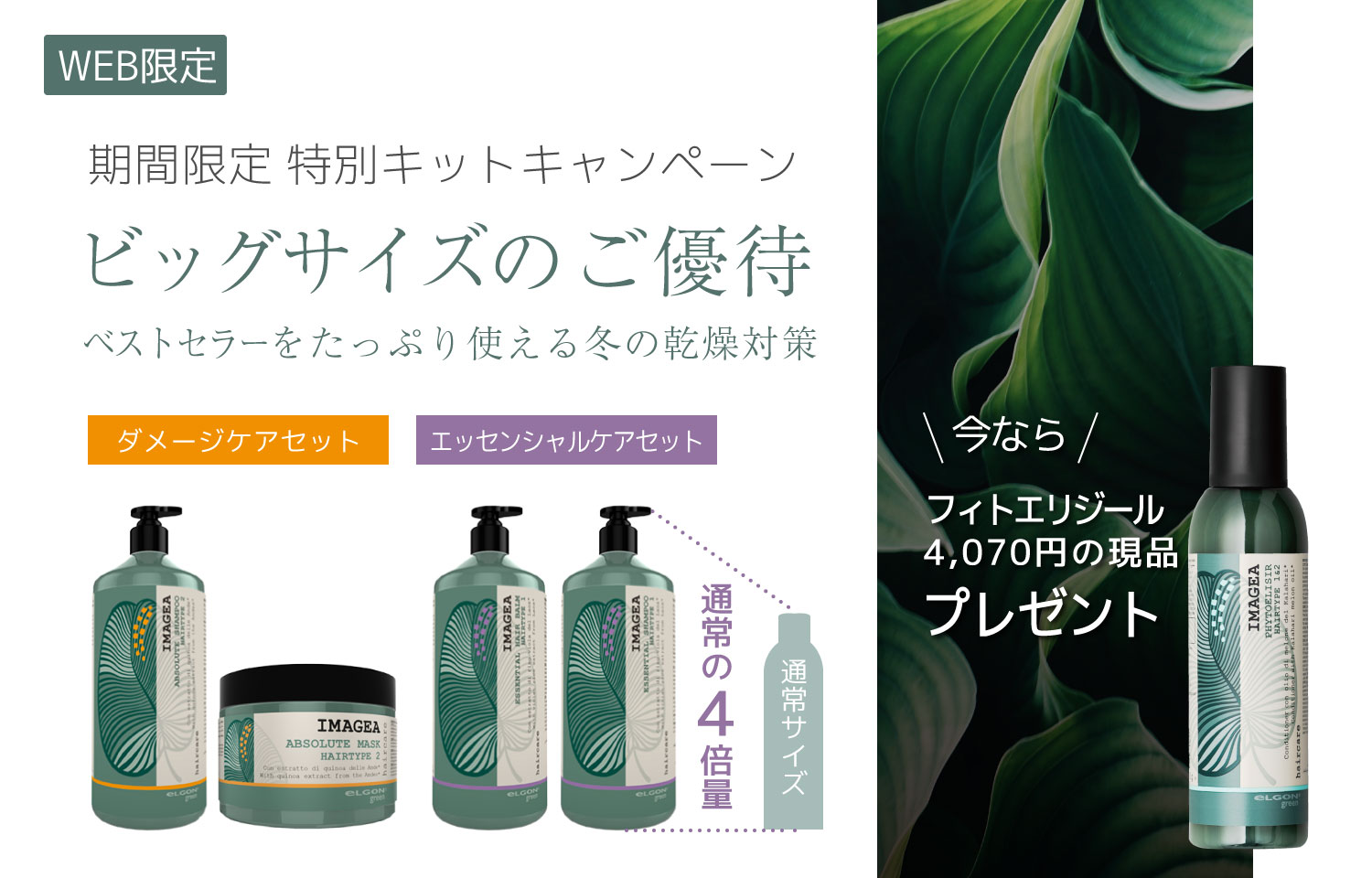 エルゴン マスクインウォッシュ ビッグボトル洗髪料500ml - ヘアケア