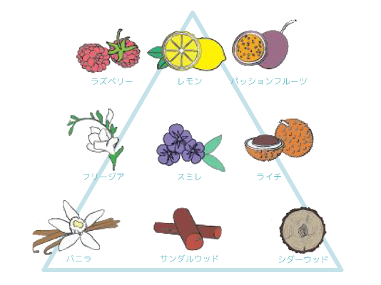 エルゴン公式ショップ |DD|DD ドライオイル