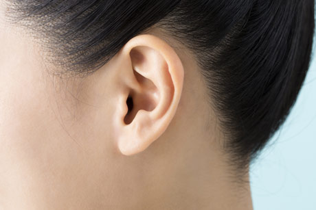 女性の頭部の耳のまわり