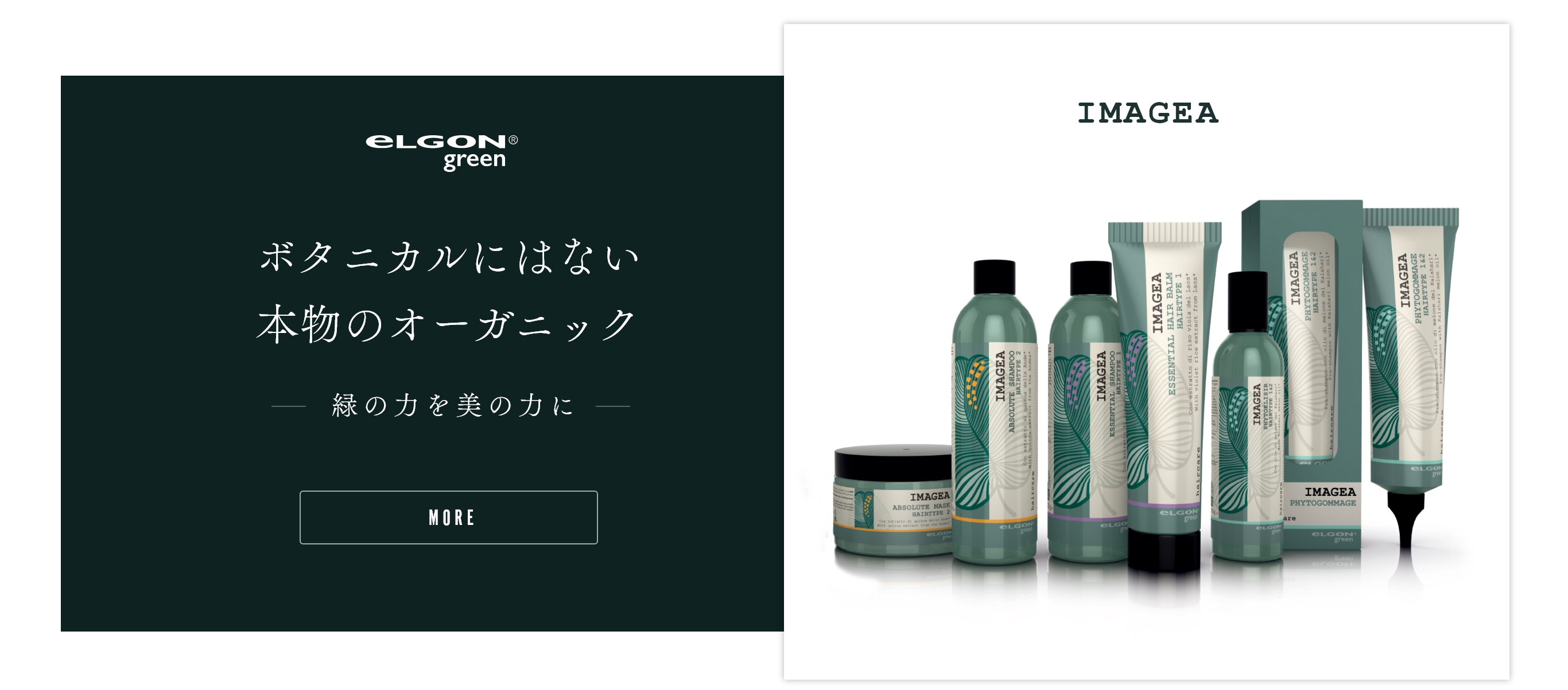 Elgon Japan イマジェア エルゴングリーンラインのご紹介